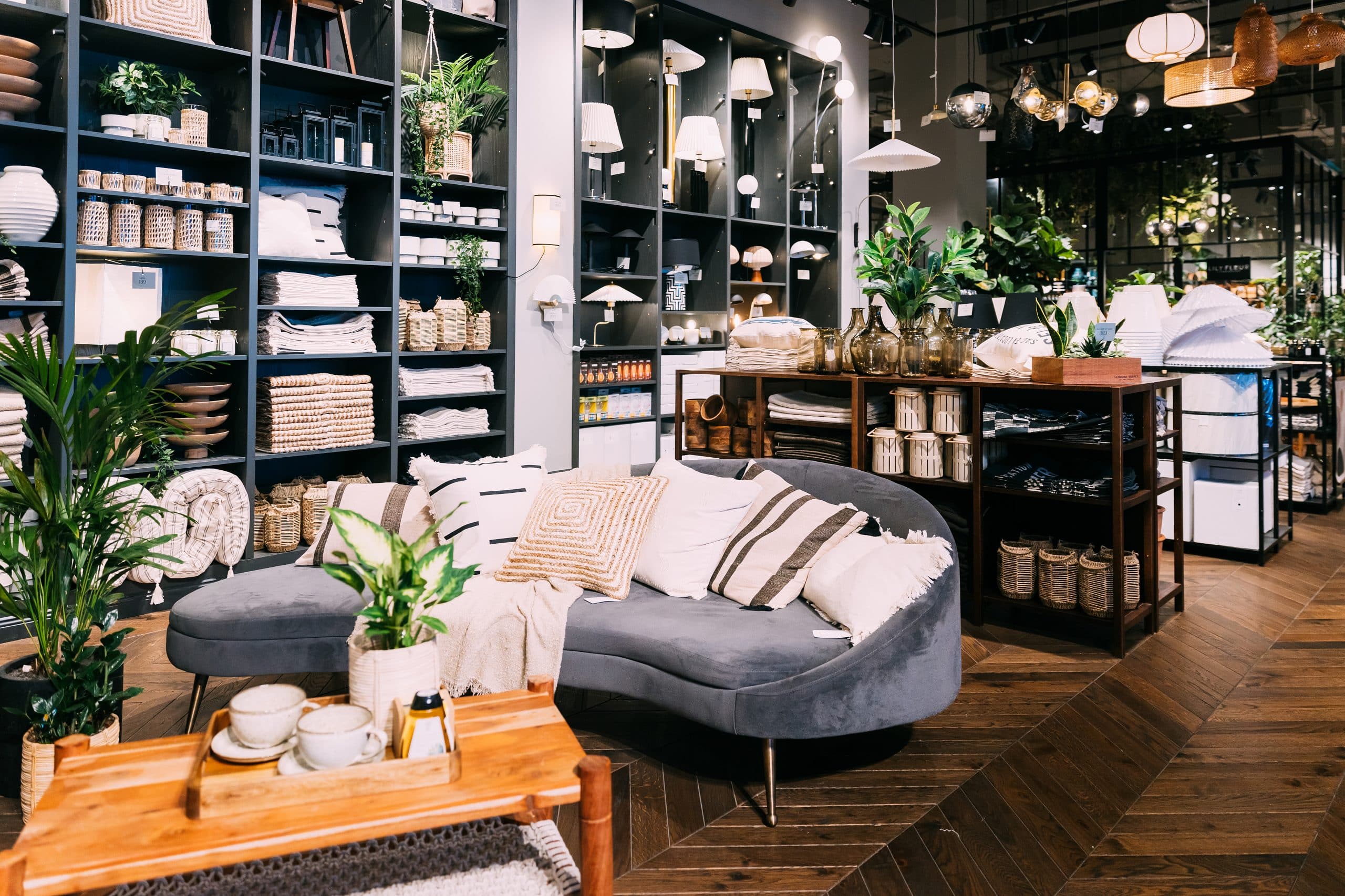 home accessories and household products in store of shopping centre. view of home accessories for living room in shop fashion retail store. sofa with pillows, table with cups. home plant in flower pot