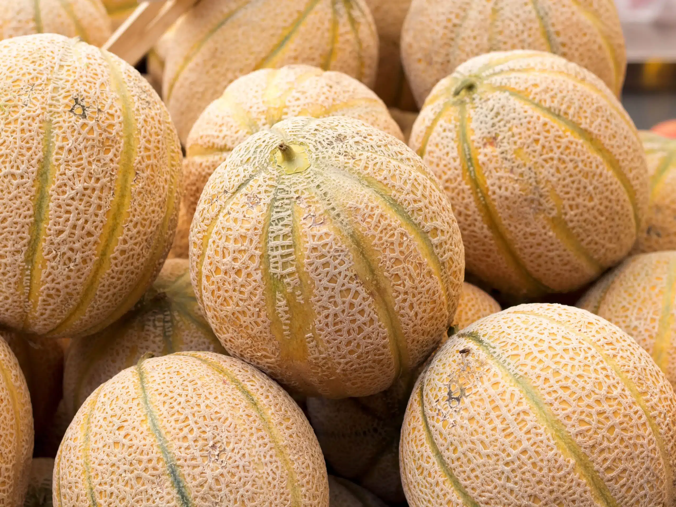 rappel produit ce melon vendu en supermarché partout en france est contaminé aux pesticides, ne le consommez surtout pas