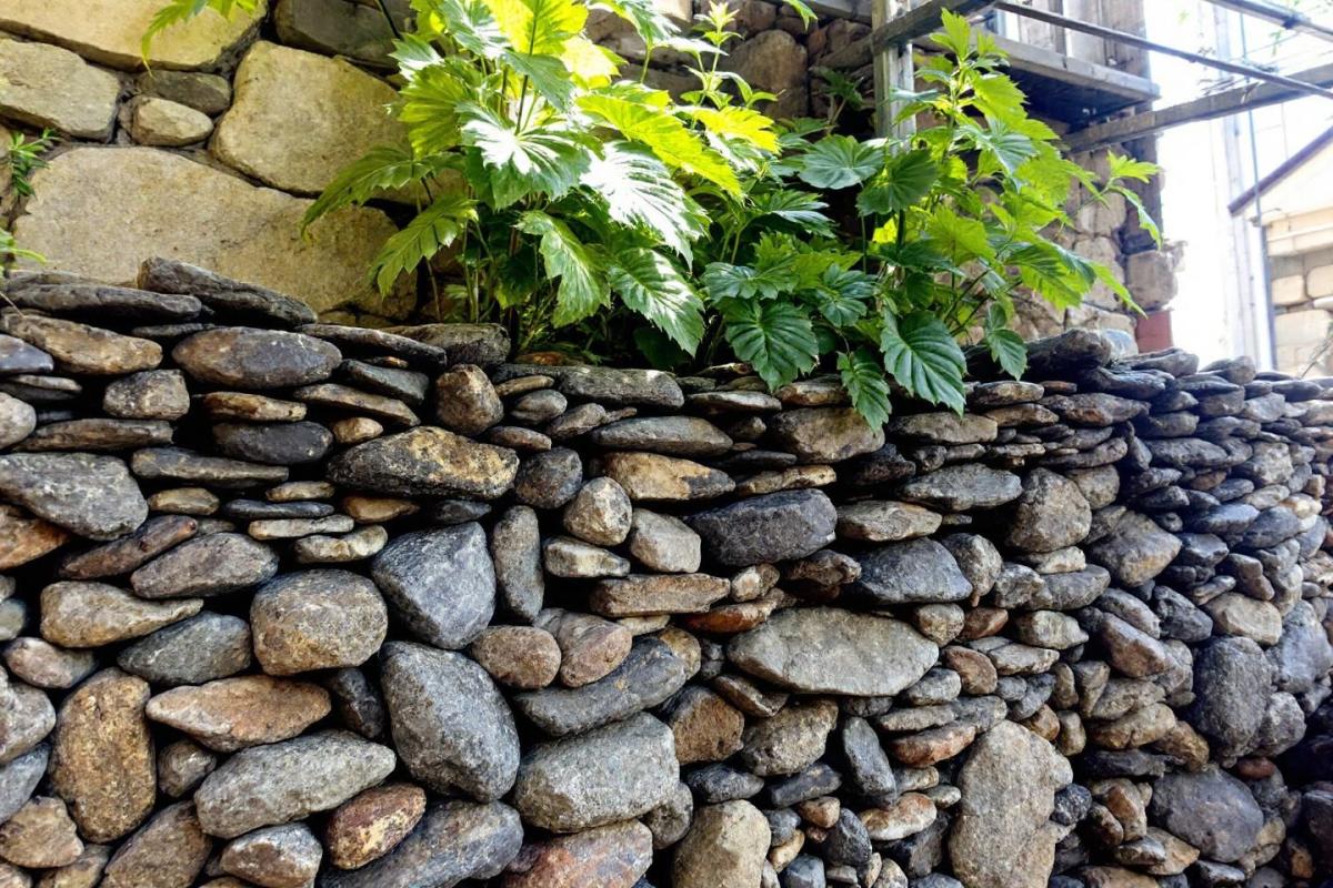 Comment construire un mur de soutènement en gabion ?