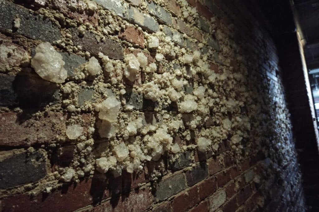 Salpêtre dans les murs : causes, dangers et traitements