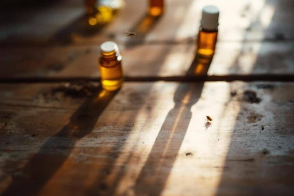 Quelles huiles essentielles contre les mouches ?